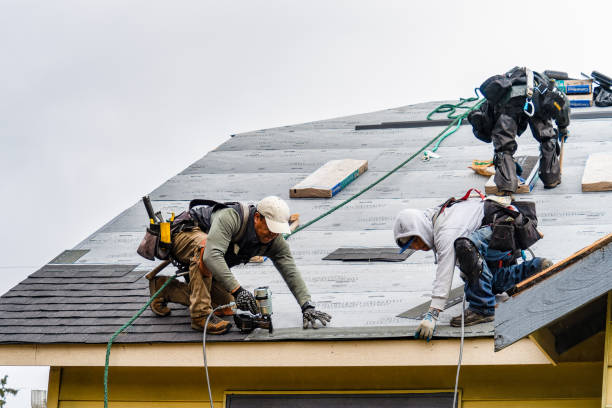 Professional Gutter Installation technician working in Shoals, WV
